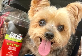 Healthy Dog Food Toppers