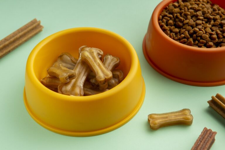 Healthy Dog Food Toppers