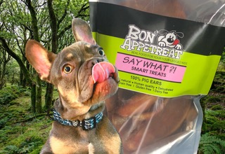 Pig Ears for Dogs