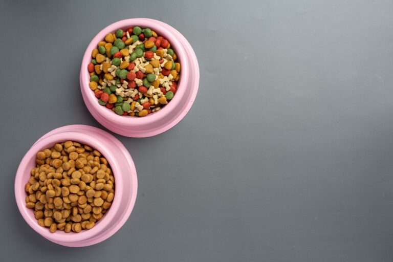 Healthy Dog Food Toppers